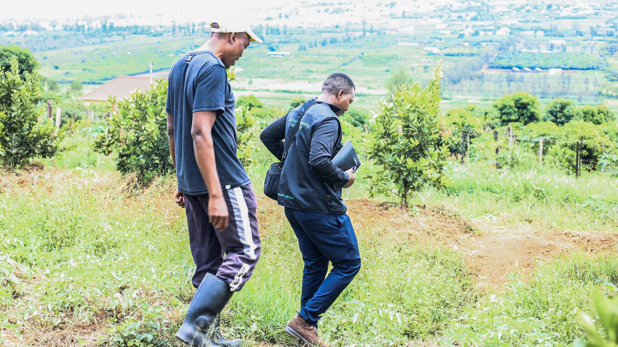 Field irrigation assessment and monitoring